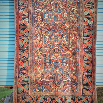 Image of rug or carpet